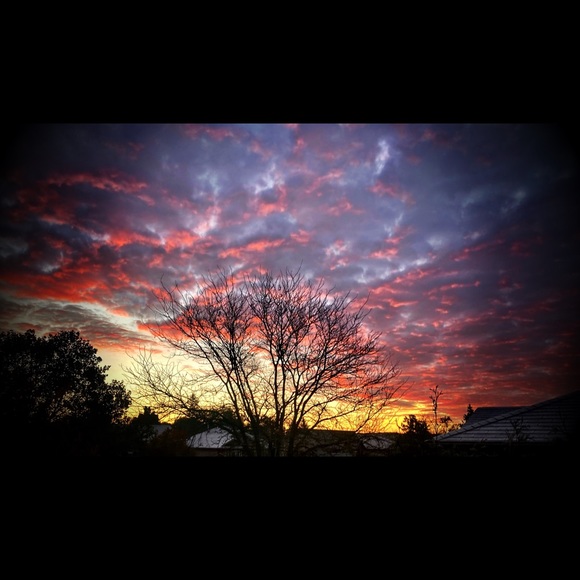 lynne_kittredge